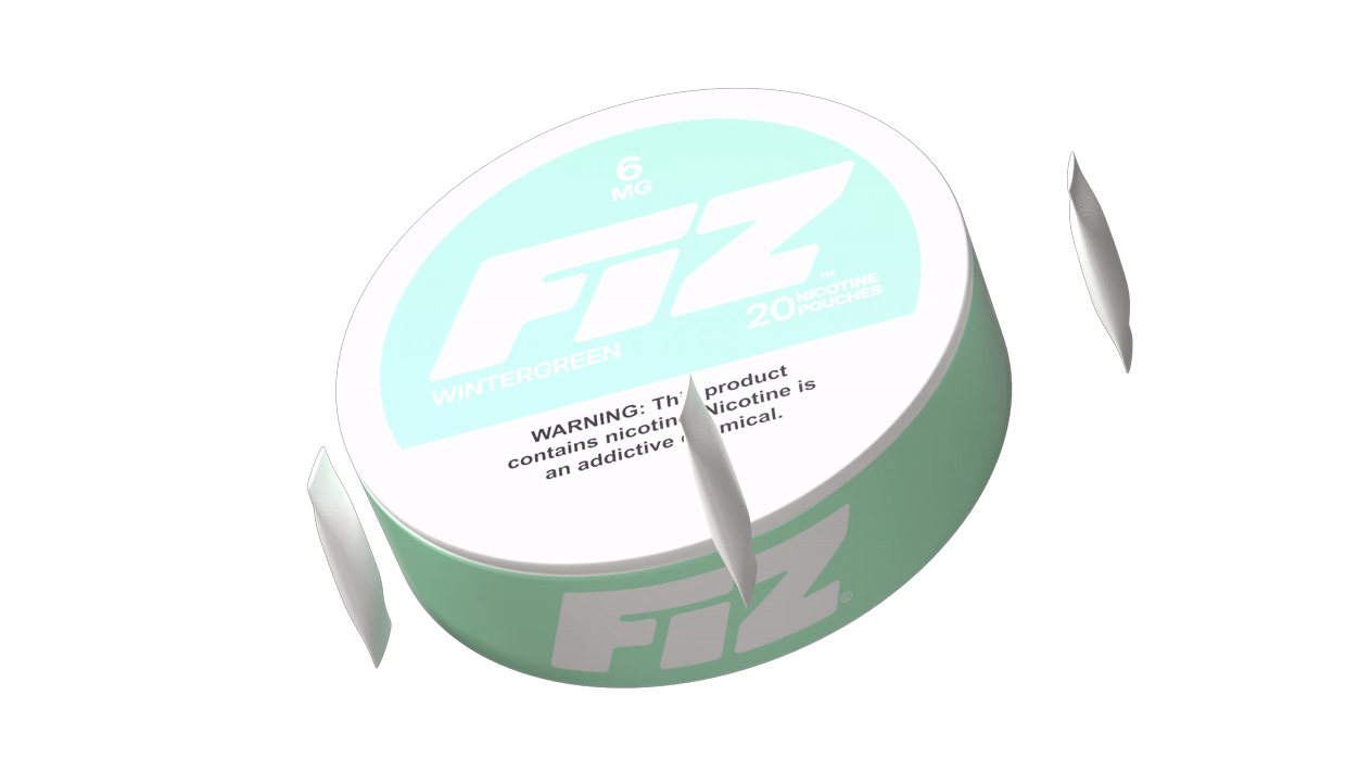 FIZ Wintergreen tin with pouches